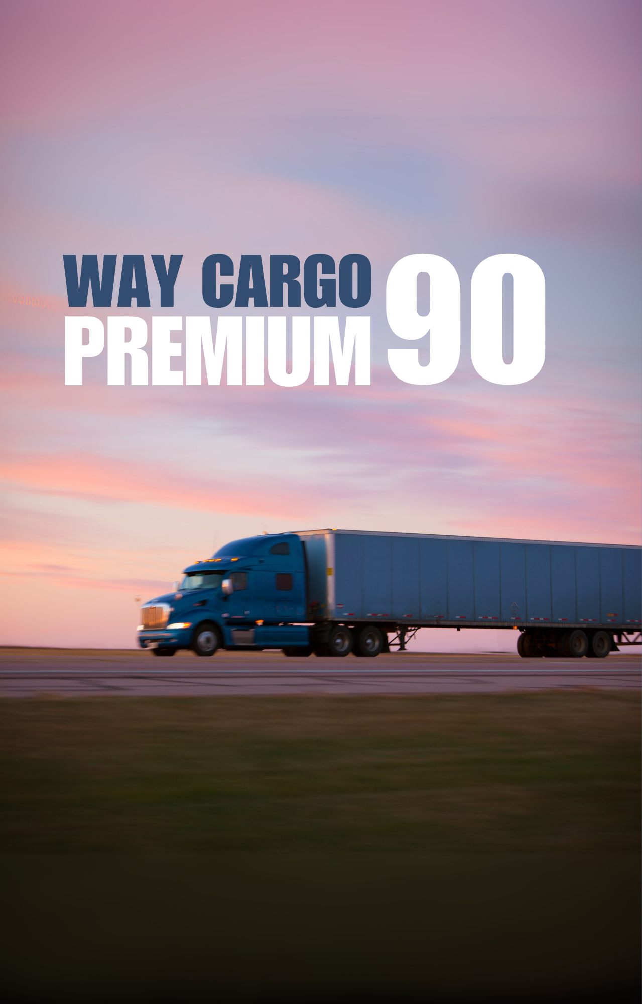 Way Cargo Premium 90